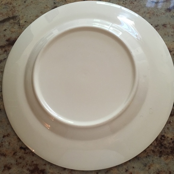 🇺🇸 Vintage Presidents of the US Plate - Picture 4 of 7